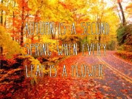 Autumn Quotes Graphics