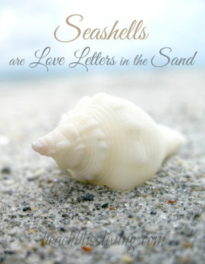 their shells to make jewelry but since i was using very tiny shells i ...