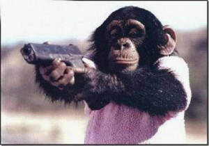 changos-divertidos-1