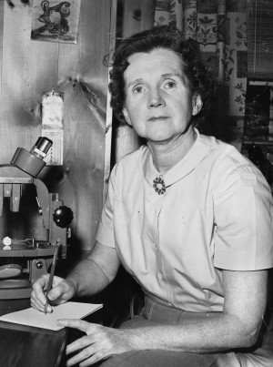Rachel Carson 1963 The author of 