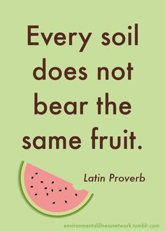 ... not bear the same fruit.