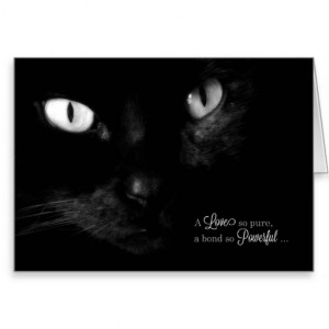 pet_sympathy_loss_of_a_cat_greeting_card ...