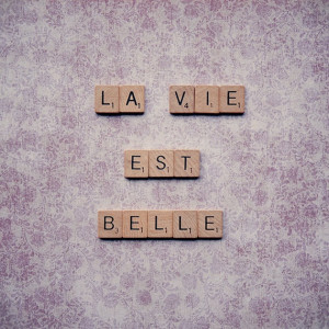 Scrabble French quote - La vie est belle - life's beautiful - wall art ...