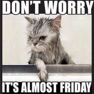 Facebook Twitter Pinterest Google+