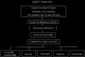 Non-Profit Board of Directors