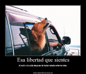 Great site for Spanish vocab and resources. Funny pictures and sayings