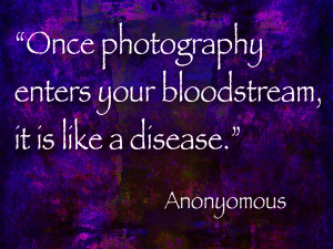 anonyomous bloodstream sunday art photography quote