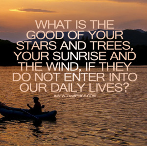 The Stars Trees Sunrise And Wind Quote Graphic