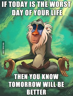 quotes the lion king rafiki positive monckey raffiqui
