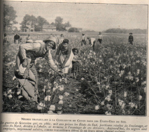 Slaves Picking Cotton Overseer
