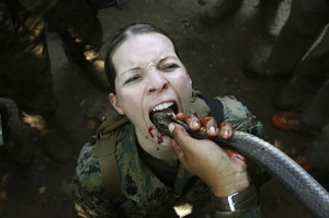 ... -of-marines-drinking-snake-blood-ar-1-26790-1361380001-0_big.jpg