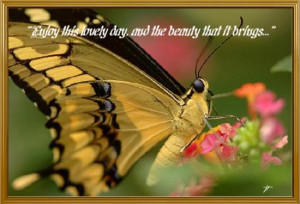Butterfly Quotes (25)