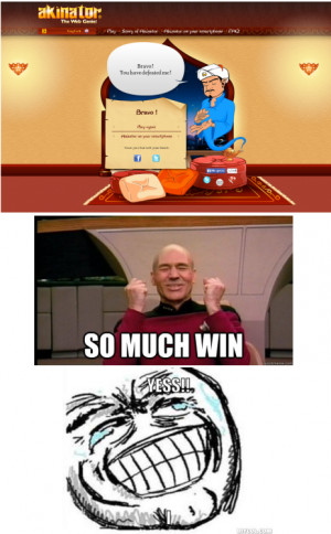 VE DEFEATED THE AKINATOR !!!!