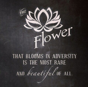 mulan #adversity #inspiration #love #beautiful #quote #disneyquote