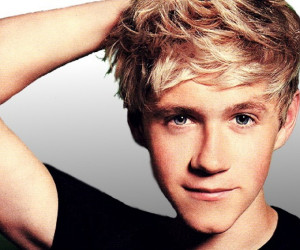 Niall Horan Facts Direction