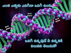 Labels: Telugu Quotes
