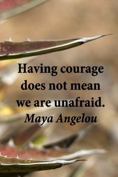 Having courage does not mean we are unafraid.” – Poet, Maya ...