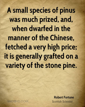 small species of pinus was much prized, and, when dwarfed in the ...