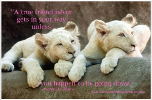 Quotes On Friendship, A True Friend Never Gets in Your Way, two lion ...