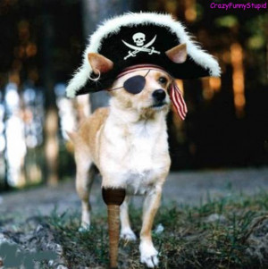 Leave a Reply Cancel reply