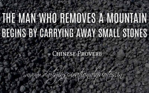 The man who removes a mountain begins by carrying away small stones ...