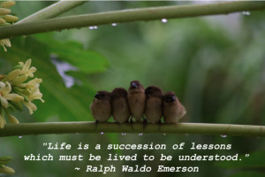 Quote: Ralph Waldo Emerson