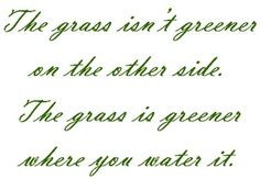 greener on the other side the grass is greener where you water it ...