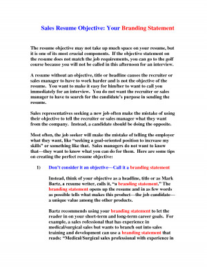 Example Objective Statement Resume by Richard_Cataman