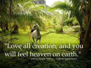 Love all creation and you will feel heaven on earth