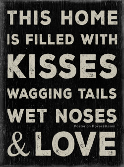... wet noses & loveThis dog quote poster is available here at Rover99.com