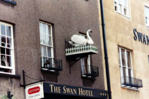 Livingston Ripley Waterfowl Sanctuary : Swan Facts
