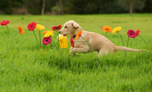 Will your next project benefit from the Websilk Touch?