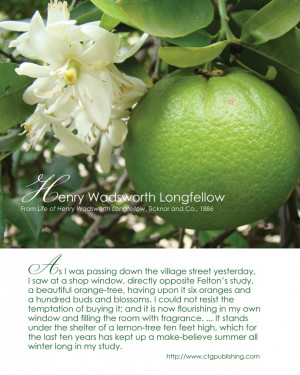 ... Longfellow – Orange Tree Quote – Orange Photo by CTG Publishing