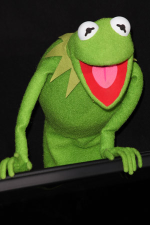 Find out what Kermit the Frog and Miss Piggy really think of Fox News