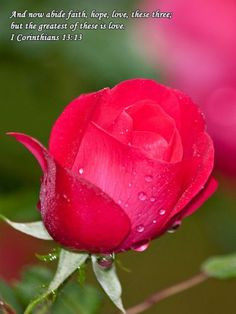 ... garden more happy thoughts biblical things god angels biblical