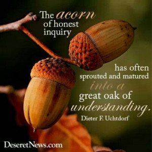 An acorn of honest inquiry...