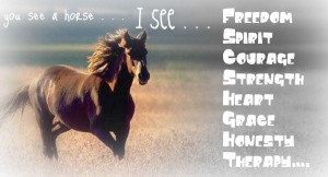 See a horse. I see - freedom, spirit, courage, strength, heart, grace ...