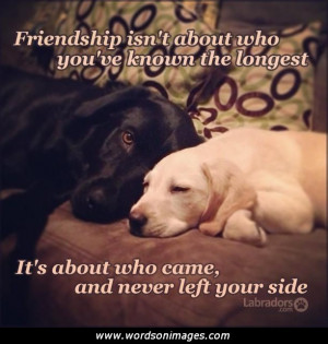 dog quotes about friendship i love my dog quotes man