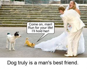 Man’s best friend funny image