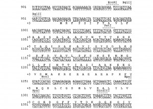 IP-biotech-2-Patent-Drawings