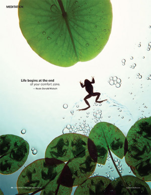 Copyright © 2015, Like Success, All rights reserved. Privacy, Terms ...