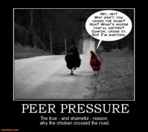 peer pressure tags chicken crossing road peer pressure rating 5