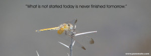 Facebook Cover Photo Dragonfly quotes on obstacles and goals
