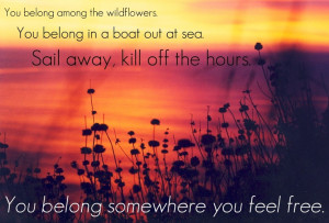 Love this song...love wildflowers...love Tom Petty...win-win-win