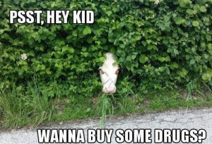 Hey Kid, Wanna buy some Drugs?