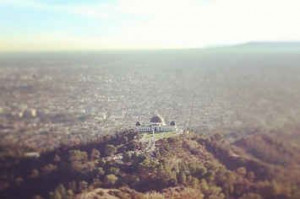 13 Sumptuous Quotes About Falling In Love From Famous Authors