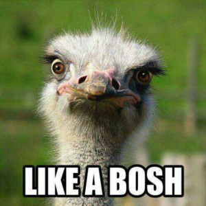 Chris Bosh, Velociraptor or Ostrich?
