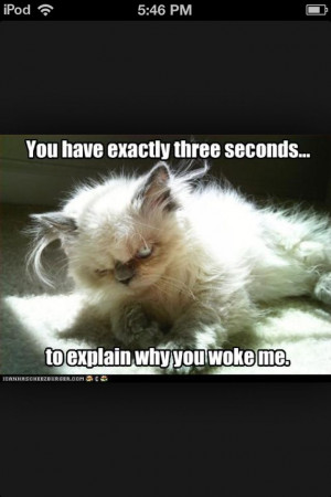 Pinned by Rachel Spigelmyer