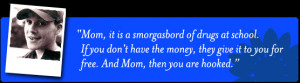 ... the dangers of drug abuse and the drug abuse prevention presentation