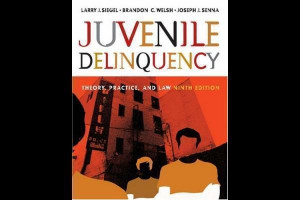 Juvenile delinquency the